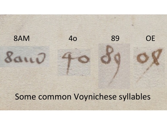 common voynichese syllables