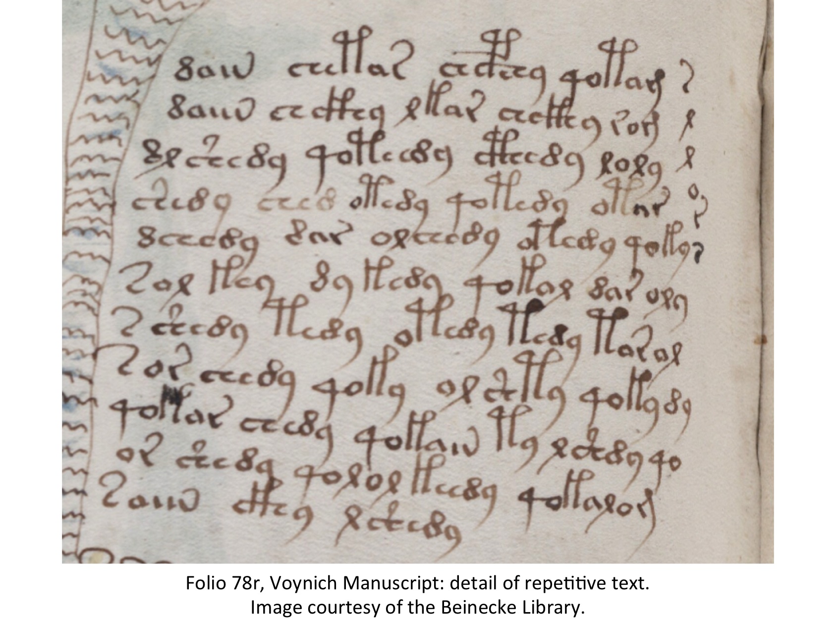 Il manoscritto Voynich Voynich-repetitive-text